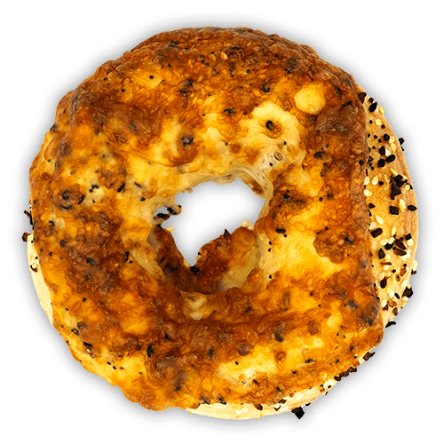 Pepperjack Everything -- Today's Bagel of the Day
